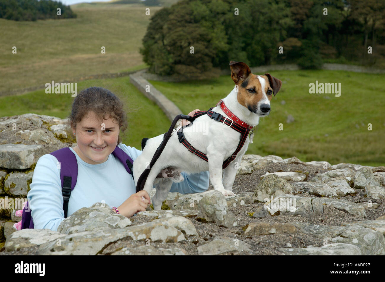 Ragazza con Jack Russell Terrier cane a Vallo di Adriano REGNO UNITO Foto Stock