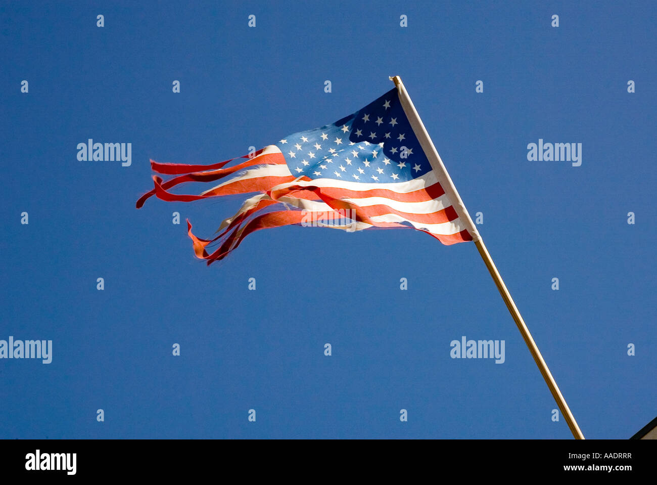 Strappato e lacerato dal vento bandiera americana vola in pole su edificio Foto Stock