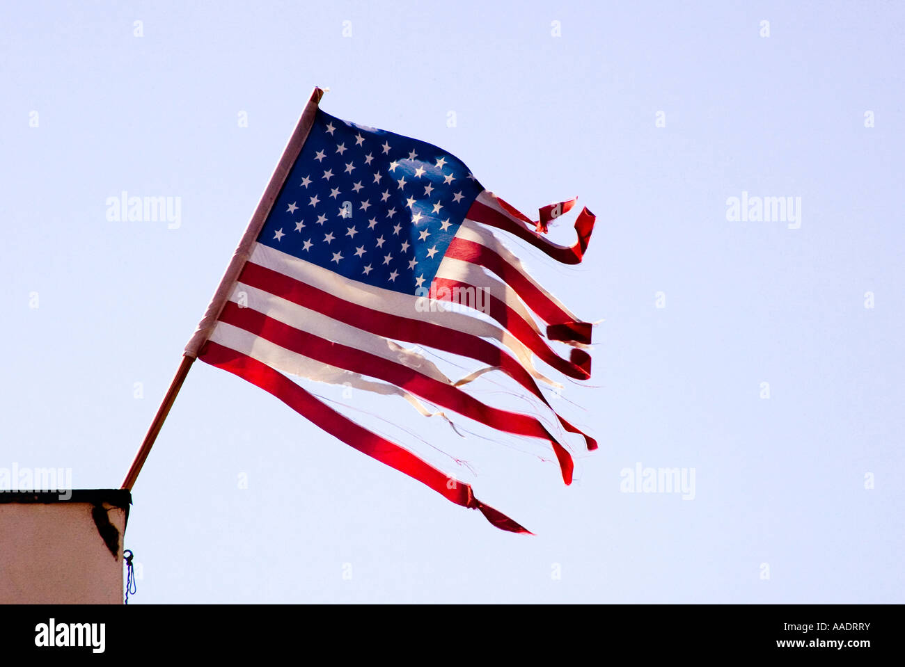 Strappato e lacerato bandiera americana soffia forte il vento Foto Stock