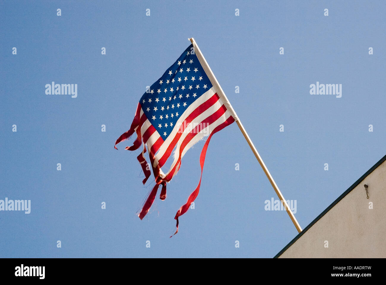 Strappato e lacerato dal vento bandiera americana vola da palo Foto Stock