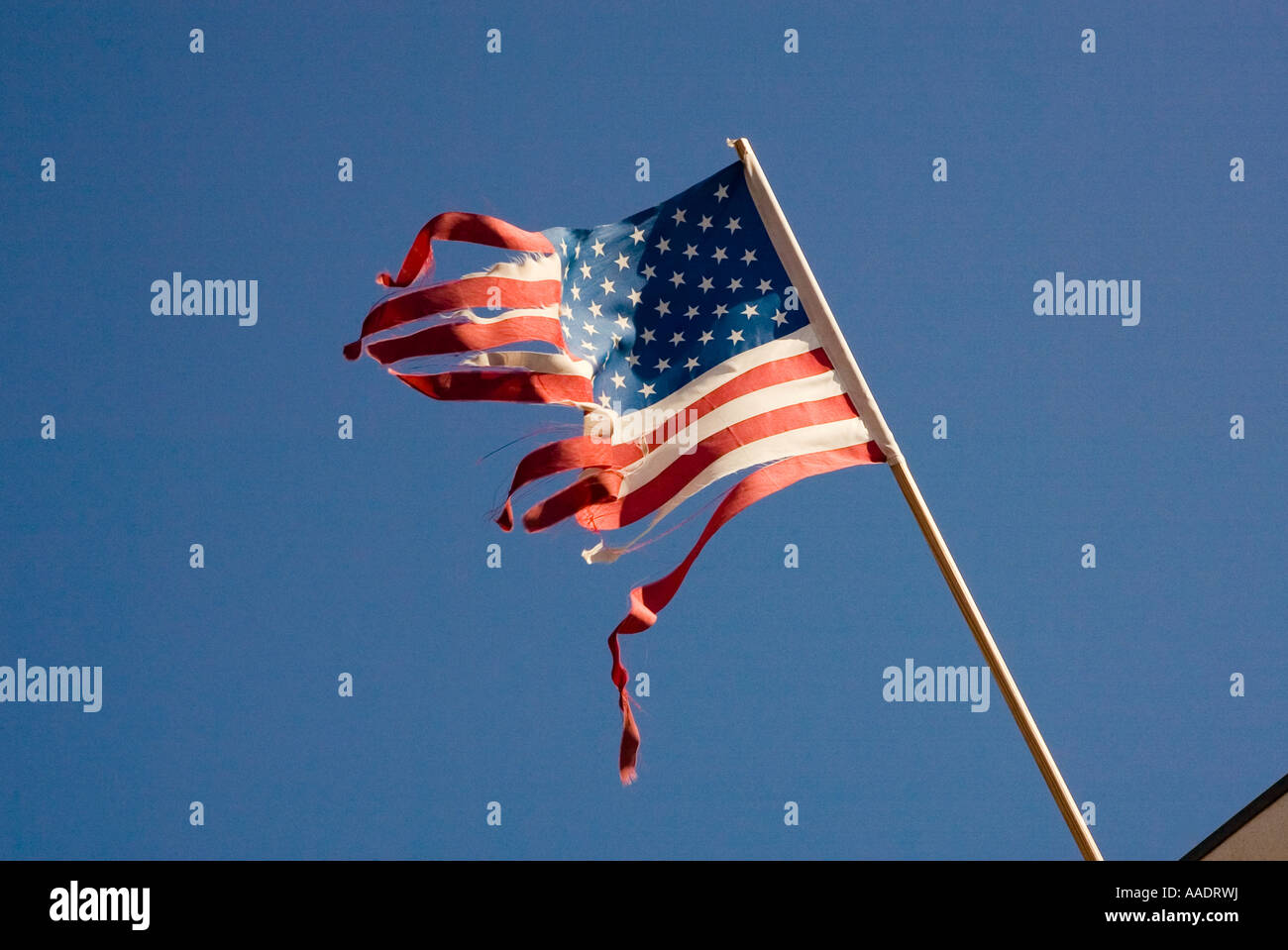Strappato e lacerato dal vento bandiera americana vola in pole su edificio Foto Stock