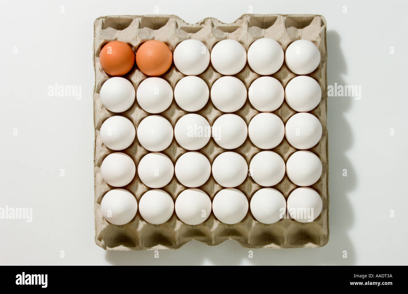 Due uova marrone e molte uova di colore bianco Foto Stock