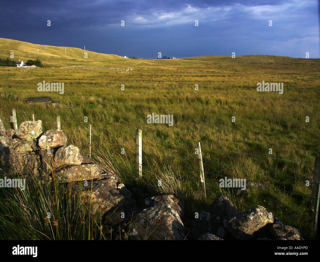 Campo sulla penisola Stoer, Sutherland, Scozia Foto Stock