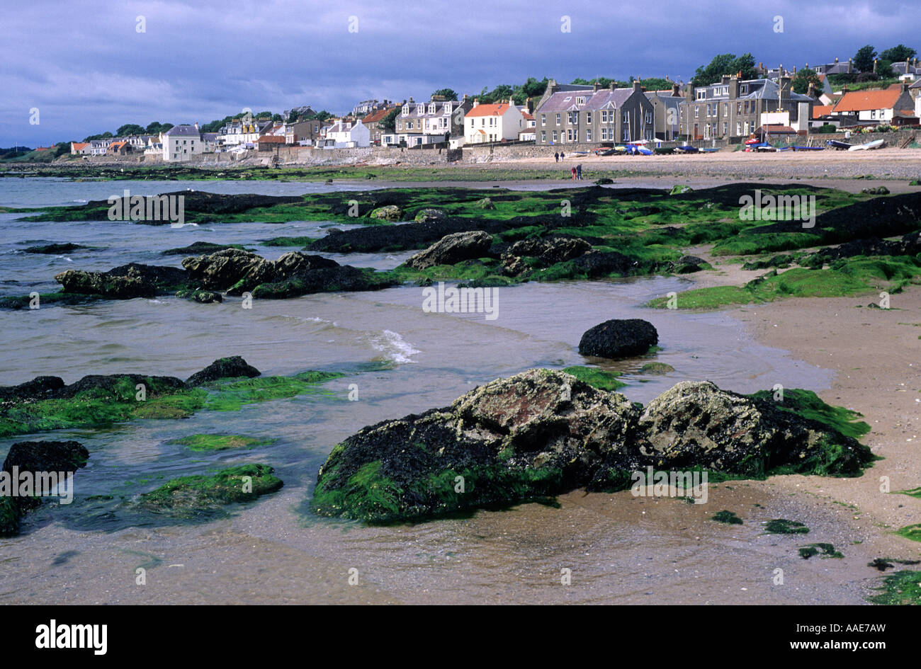 Lower Largo, Fife, Scozia, Firth of Forth, villaggio costiero, spiaggia sabbiosa e rocciosa, il colore si è lavato le case, viaggi, turismo Foto Stock