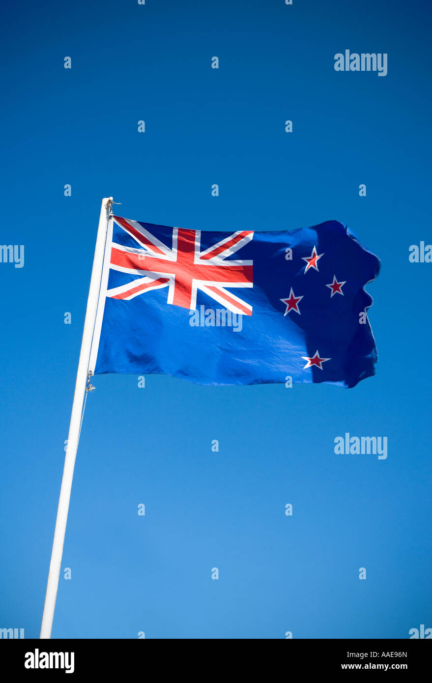 Bandiera della Nuova Zelanda su una bandiera bianca pole Foto Stock