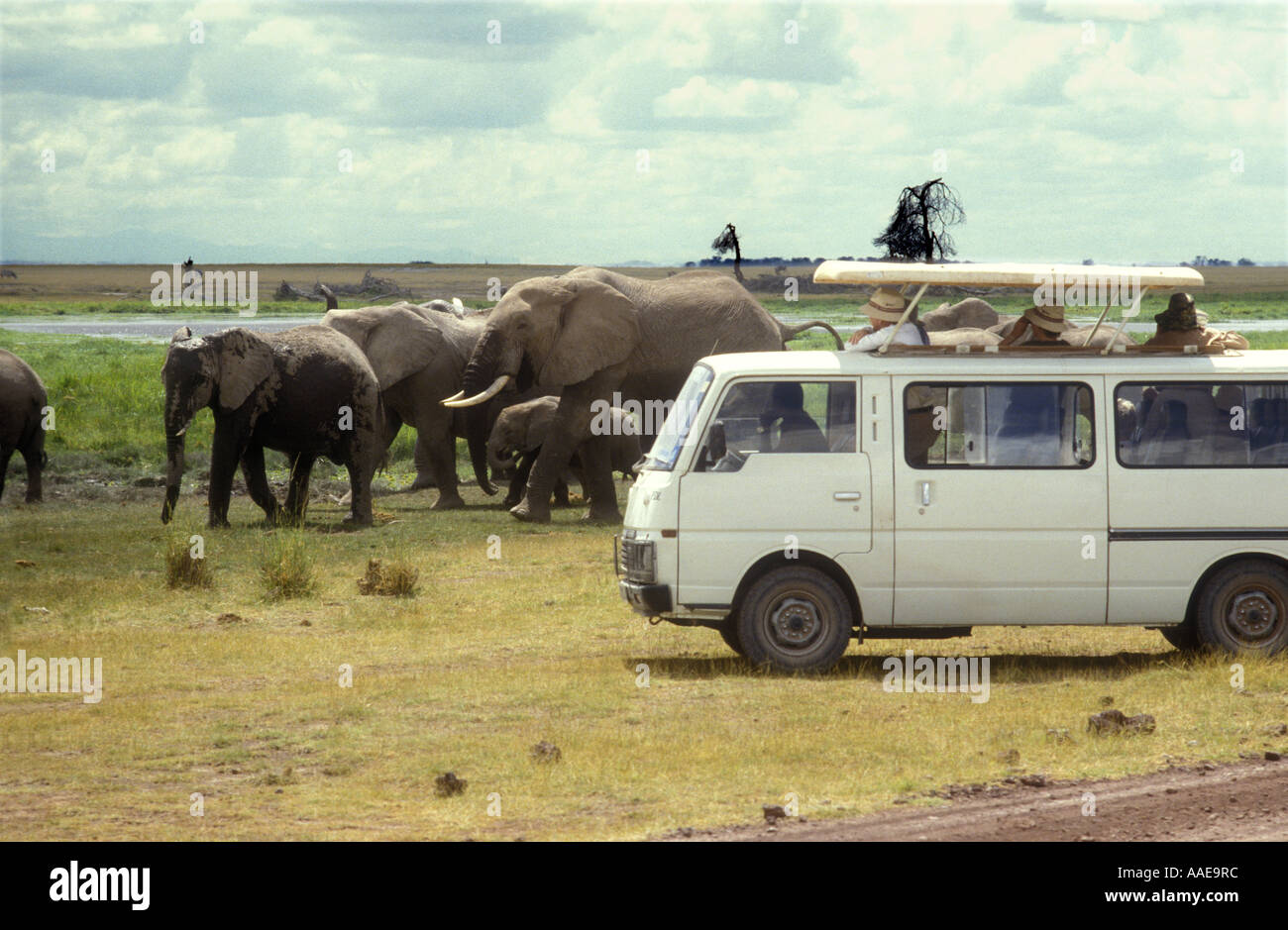 Minibus bianco con pop up tetto vicino agli elefanti in Amboseli National Park in Kenya Africa orientale Foto Stock