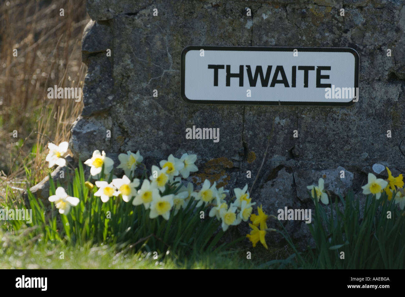 Pietra con iscrizione all'ingresso del villaggio di Thwaite Swaledale superiore dello Yorkshire del Nord Inghilterra UK Europa Foto Stock