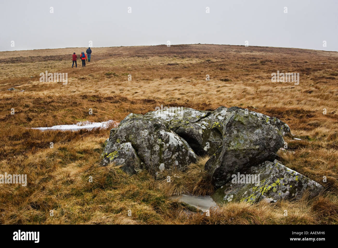 Walkers a nebbia sulla Carrock cadde Lake District Foto Stock