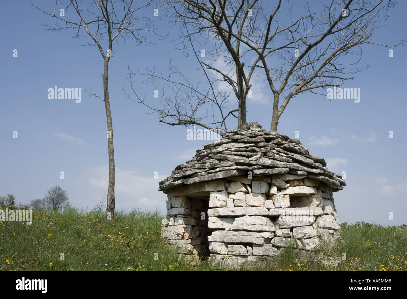 Piccolo kazun edificio in pietra in Istria Croazia, Europa con erba prato in primo piano e il bel cielo blu in background Foto Stock
