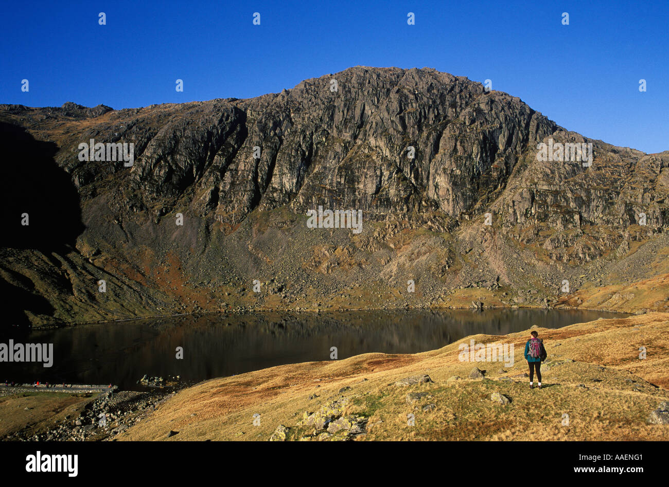 Stickle Tarn e Pavey Ark Langdale Pikes Lake District Foto Stock