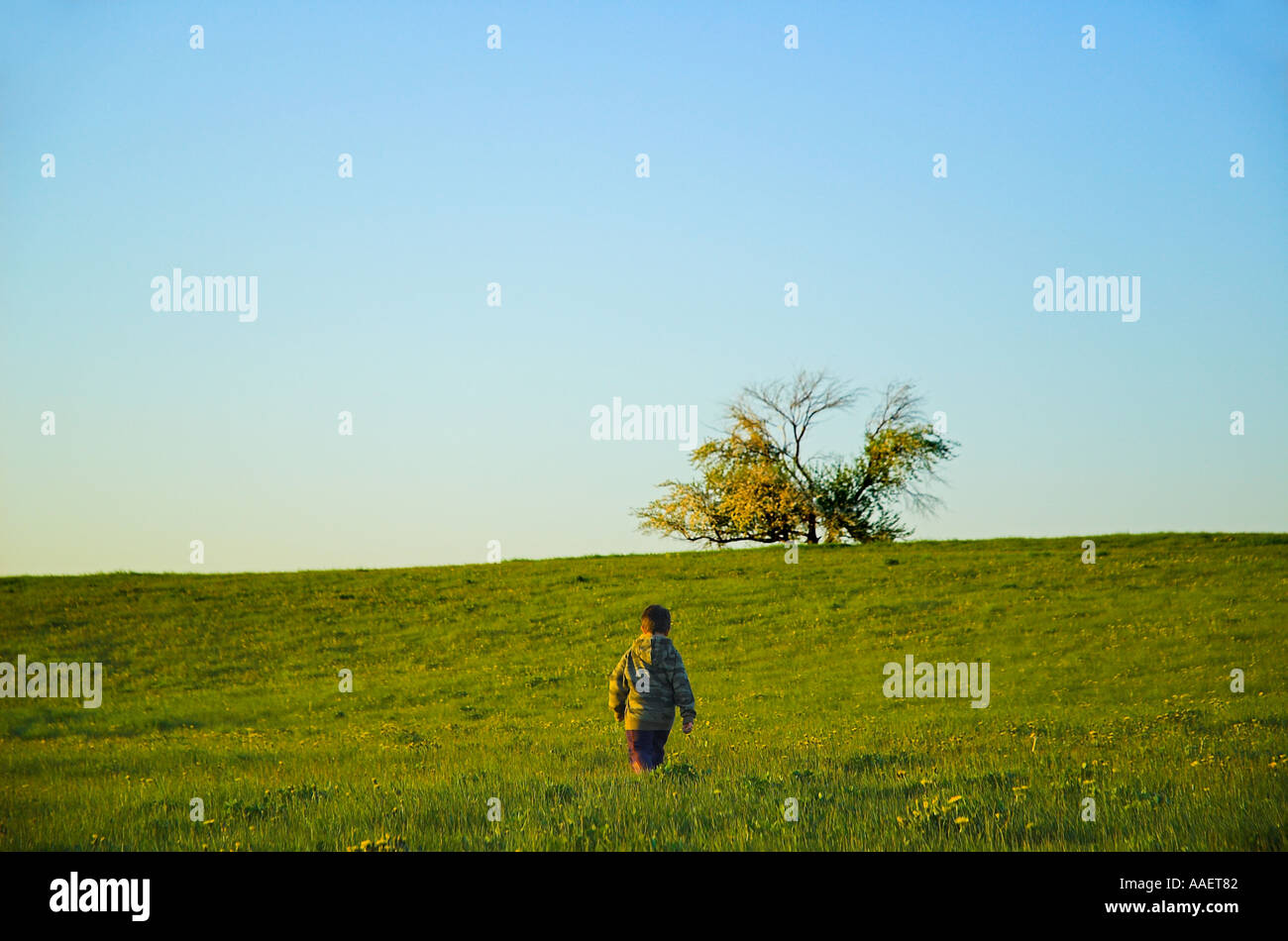 Un giovane ragazzo camminare su per una collina erbosa per arrivare a un Lone Tree sulla cima di una collina l'immagine è una buona immagine concettuale Foto Stock