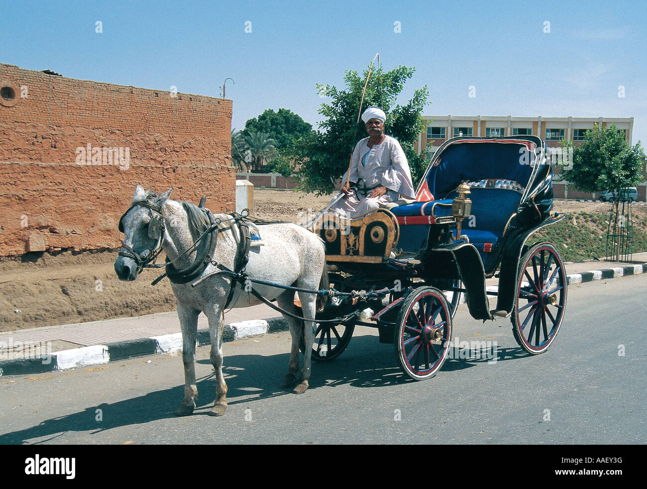 Cavallo e Carrozza o kalesh Luxor Egitto Foto Stock