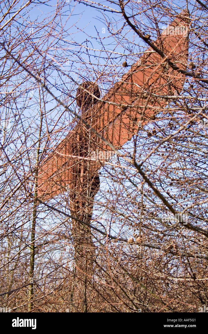 L Angelo del Nord a Gateshead vicino Newcastle Tyne usura, creato dallo scultore Antony Gormley Foto Stock