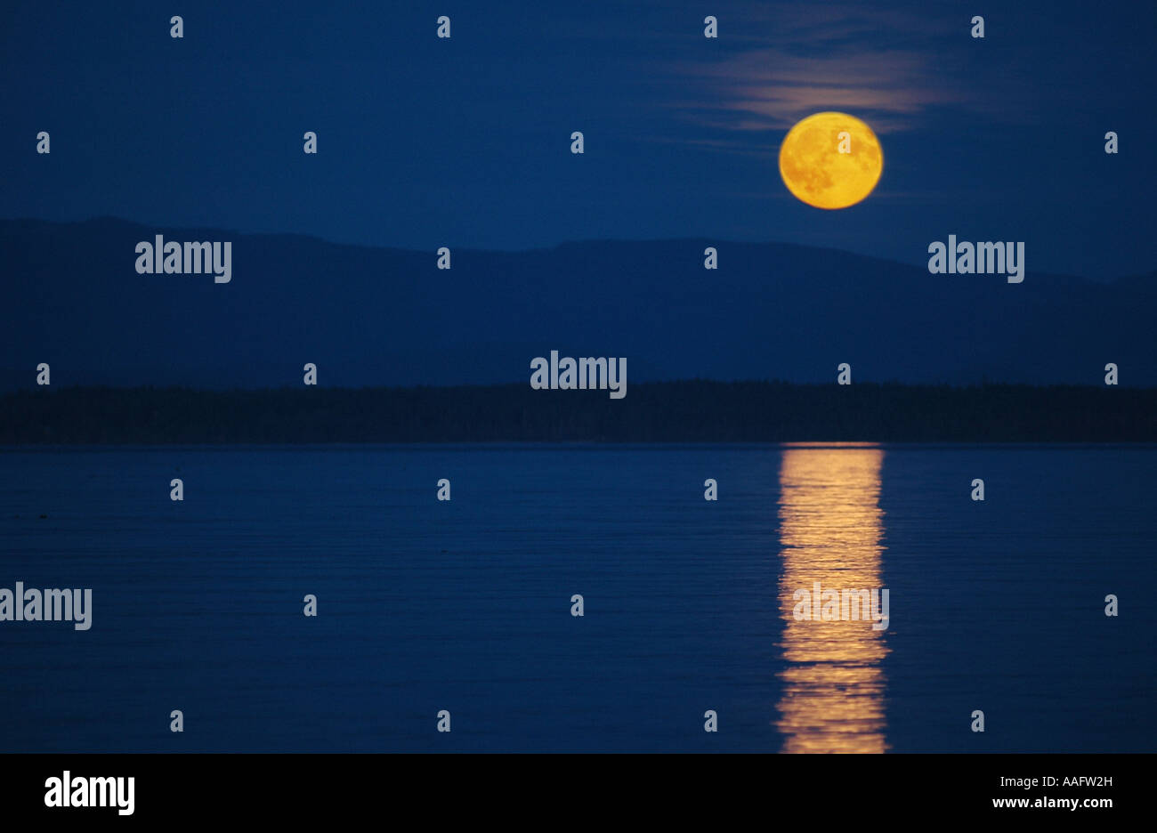 Full Moon Rising oltre alla scoperta delle isole e delle Coastal Mountains. Foto Stock Full Moon Rising oltre alla scoperta delle isole e delle Coastal Mountains. Foto Stock