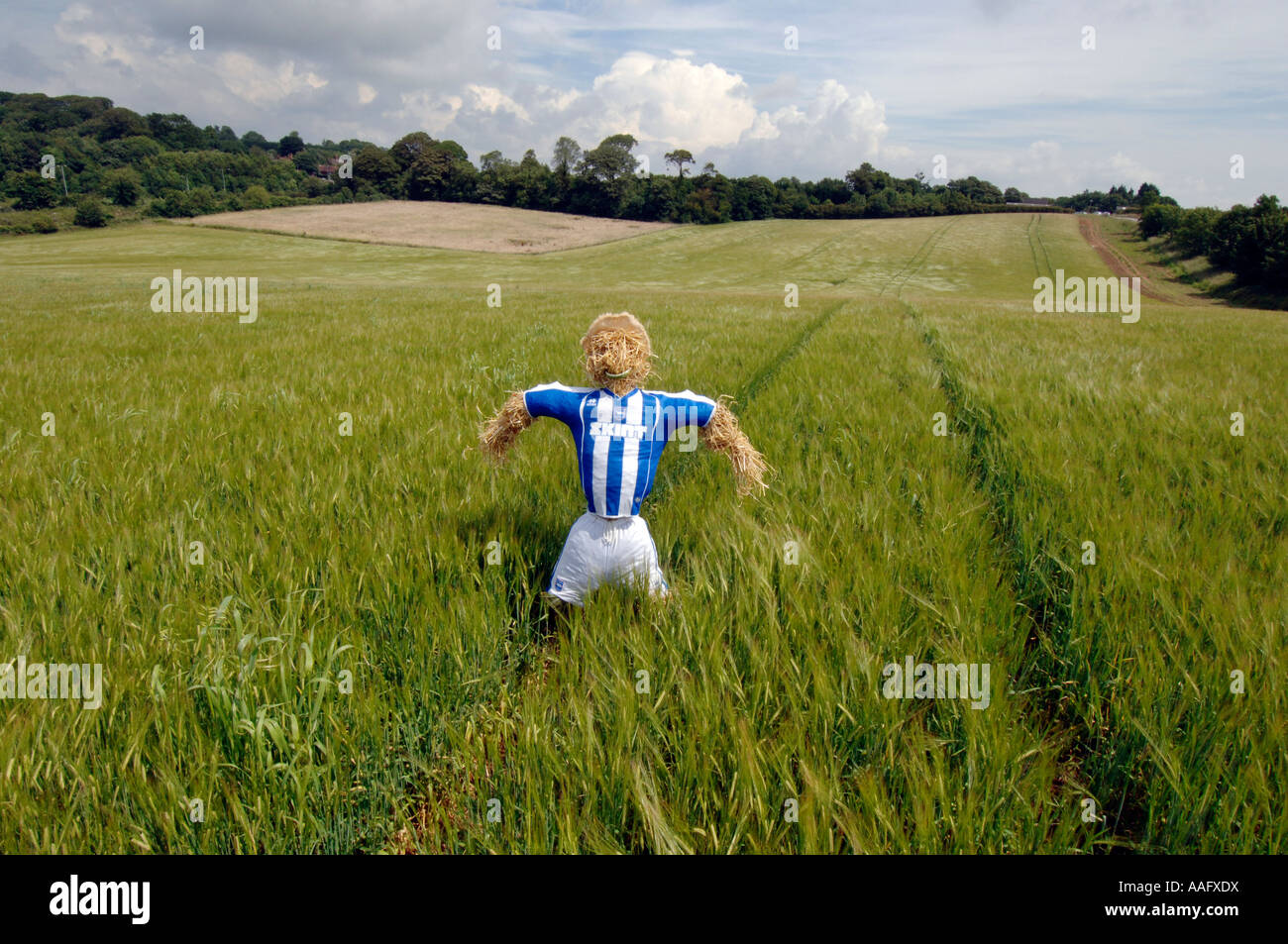 Uno spaventapasseri vestito di Brighton e Hove Albion Football Club striscia sul sito del nuovo stadio in Falmer Foto Stock