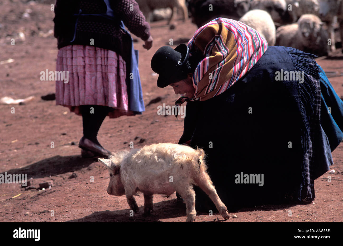 Il suino zona di vendita Zepita 10km N la frontiera boliviana sul Puno Desaguadero road mercato del giovedì Perù Foto Stock