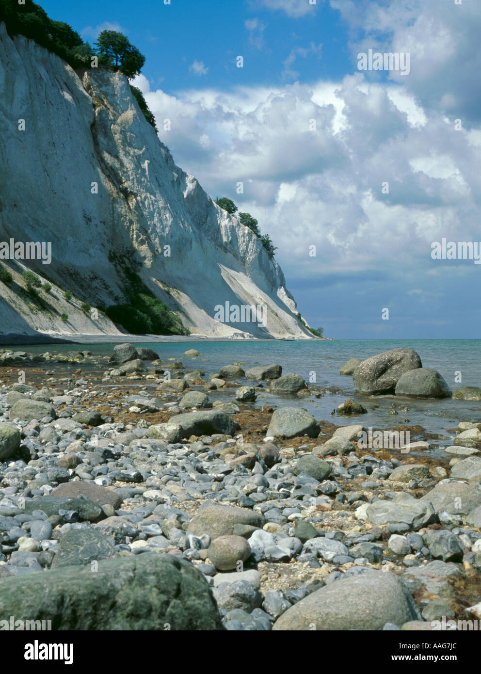 Bella precipitosa bianco gesso scogliere sul mare di Møns Klint, Møn, Danimarca Foto Stock