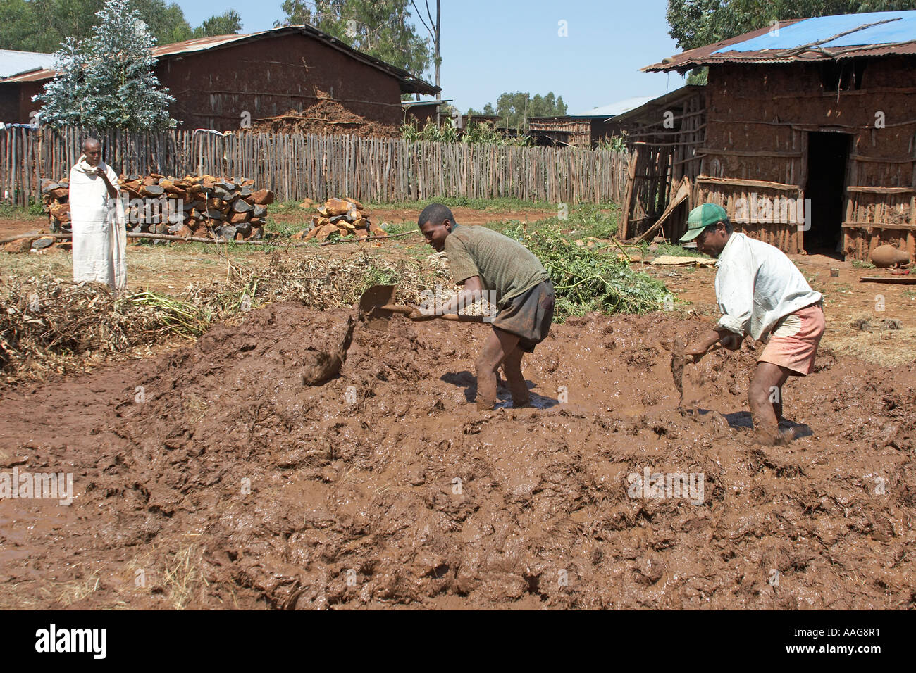 Uomini al lavoro la miscelazione di fango e paglia per rendere daub da mettere sulla costruzione in legno Cornici in villaggio Kuch Etiopia Africa Foto Stock