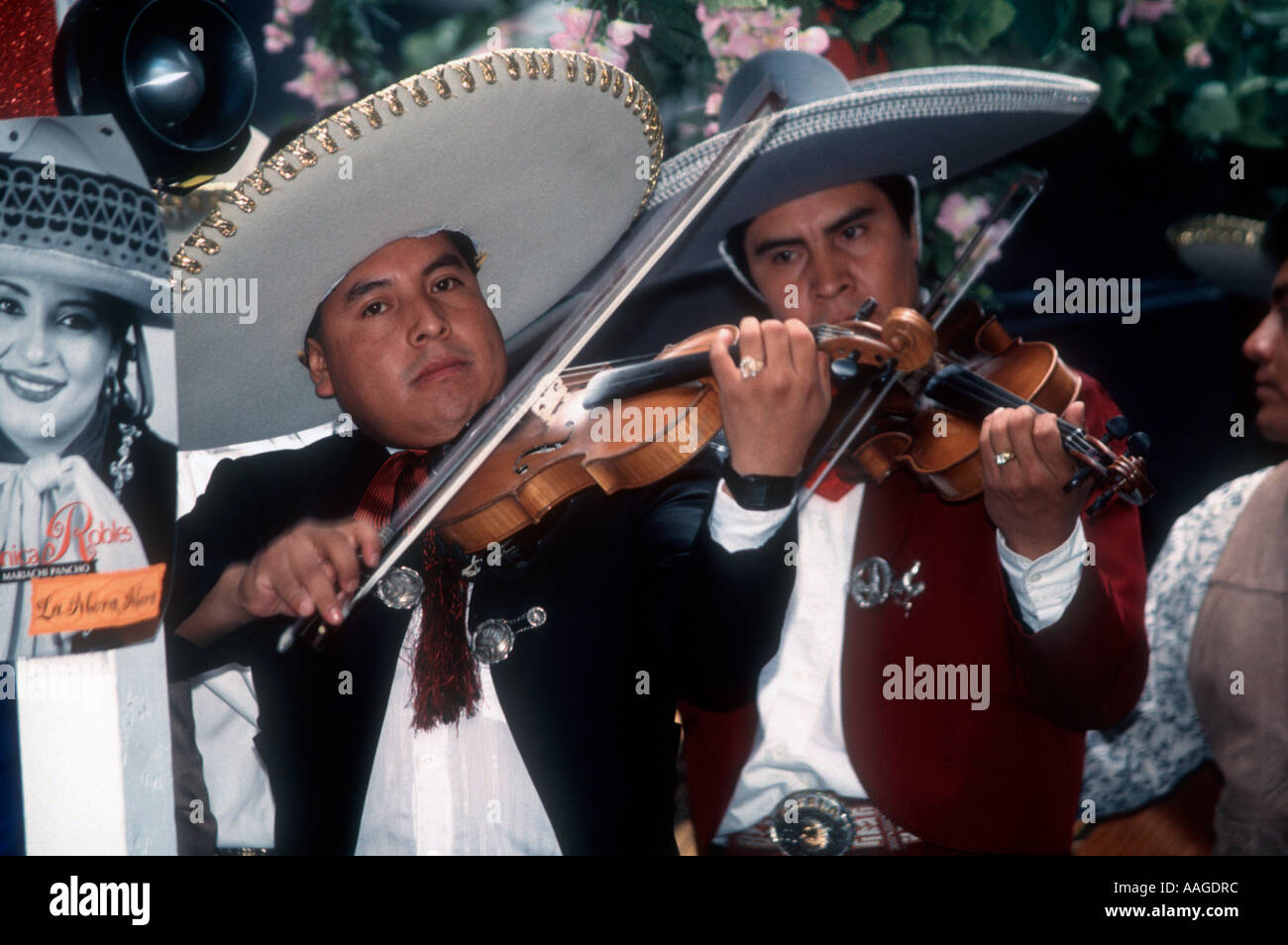 I suonatori di violino in una banda Mariachi Foto Stock