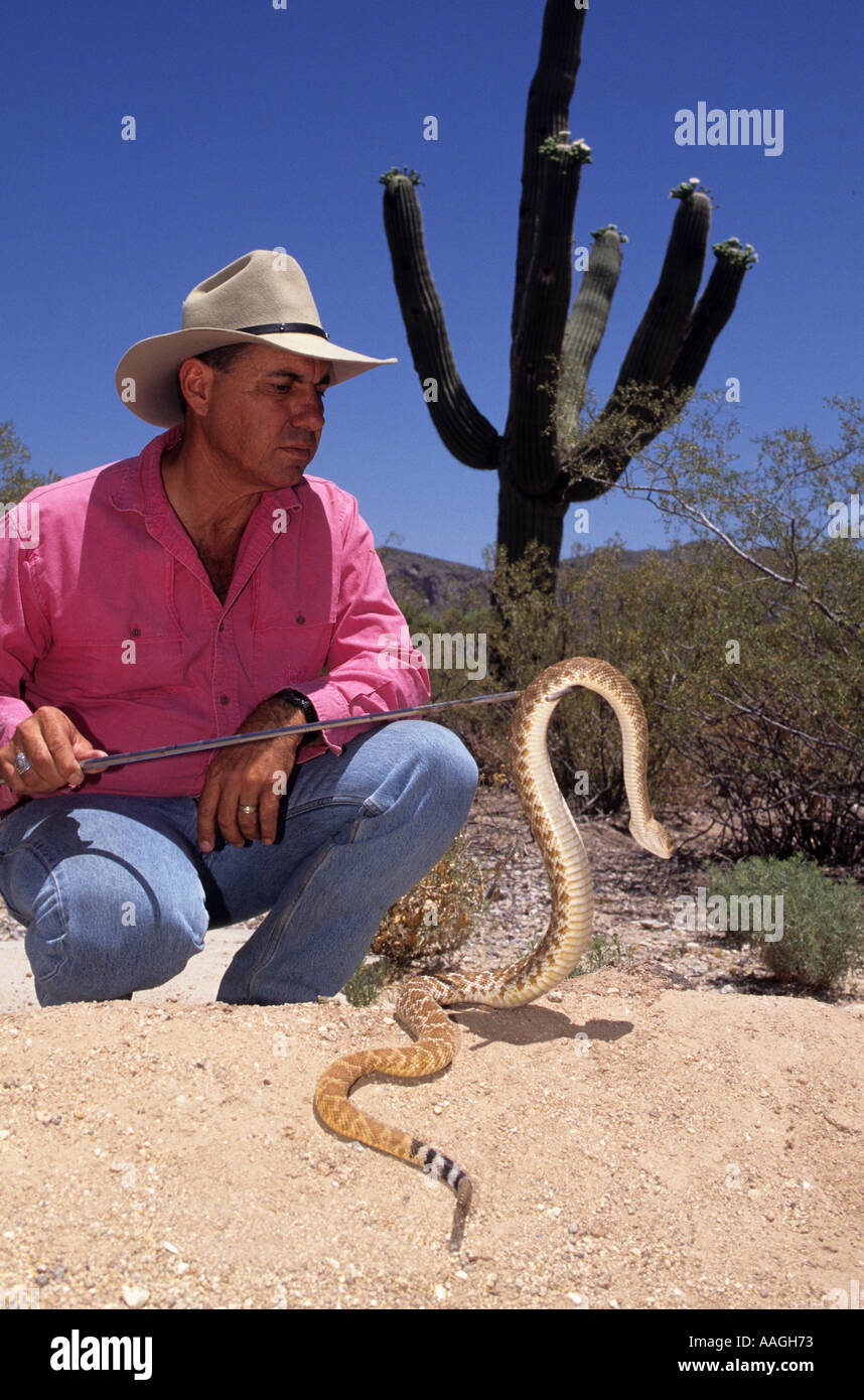 Uomo con rattle snake Foto Stock