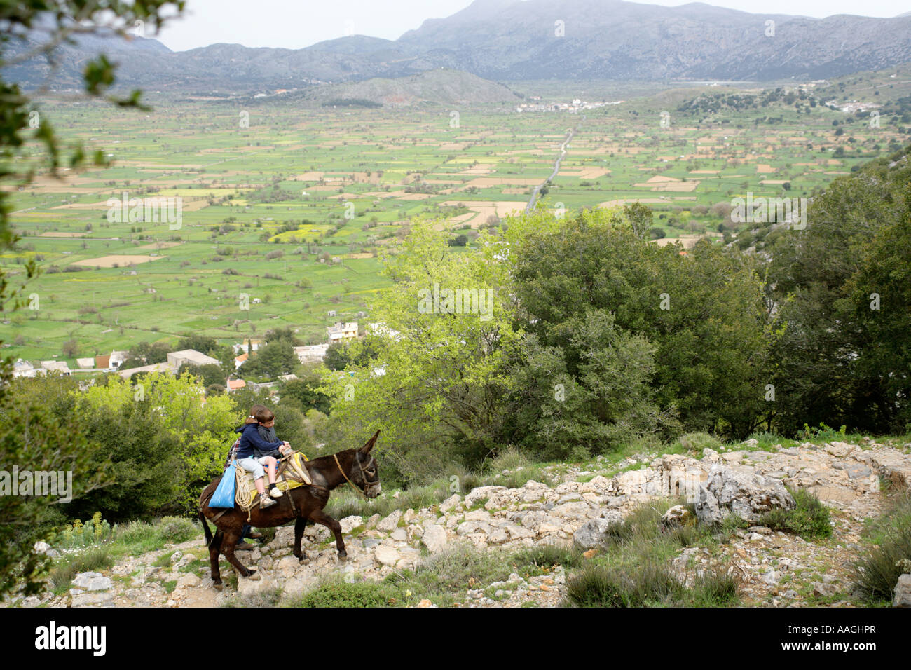 Kids cavalcando un asino in altopiano di Lassithi sull'isola greca di Creta Foto Stock