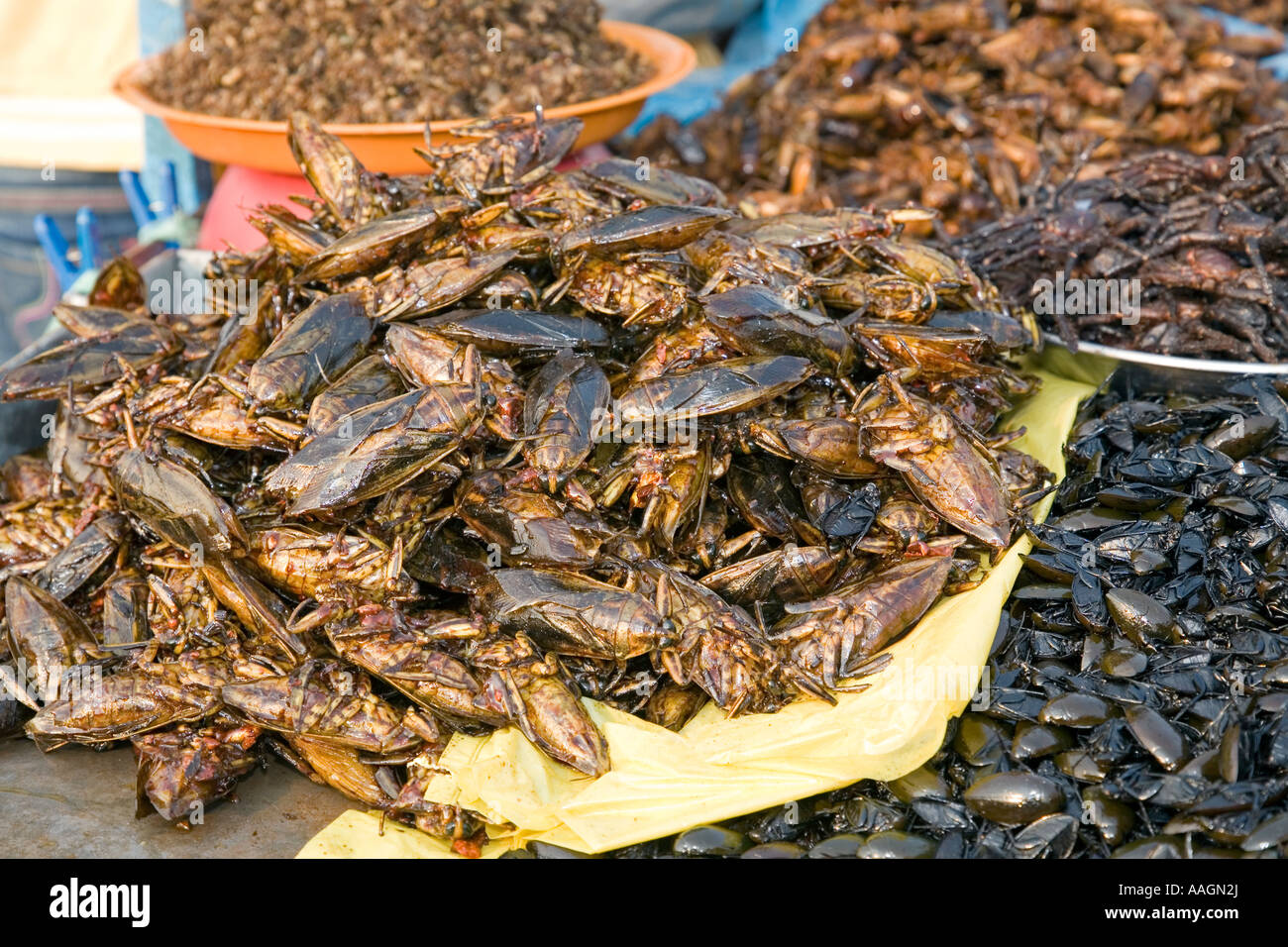 Stallo di alimentare la vendita di insetti Phnom Penh Cambogia Foto Stock