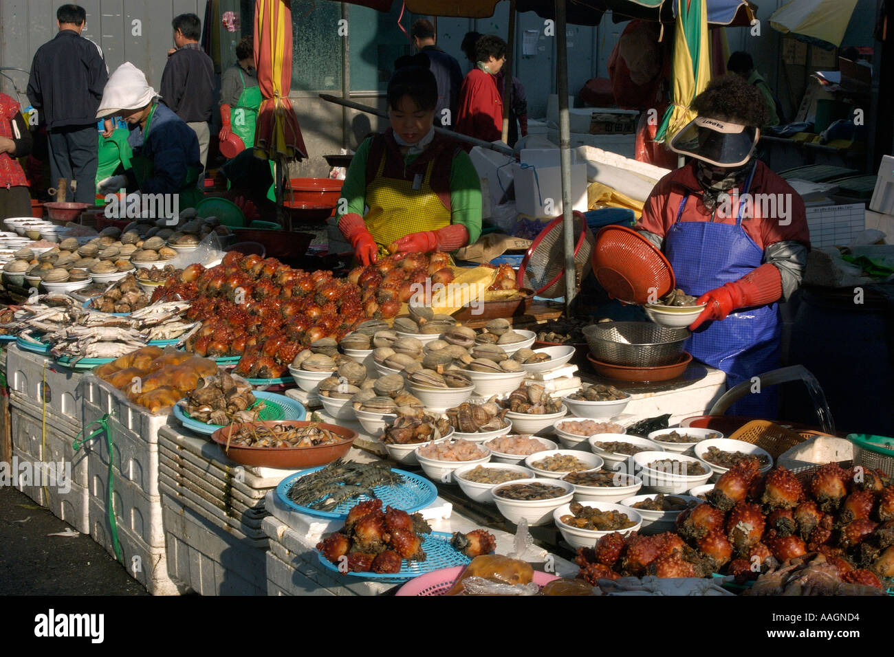 Piatti a base di frutti di mare freschi in vendita presso Jagalshi mercato del pesce Busan Corea del Sud Foto Stock