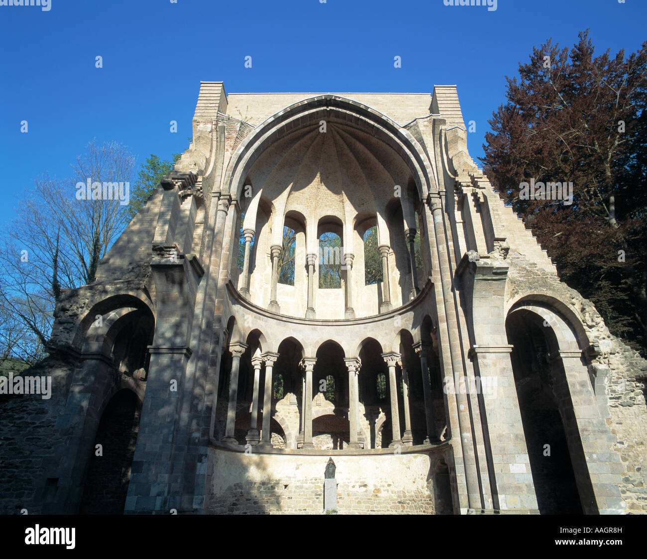 Chorruine der Abteikirche von Kloster Heisterbach in Koenigswinter, Naturpark Siebenbirge, Renania settentrionale-Vestfalia Foto Stock