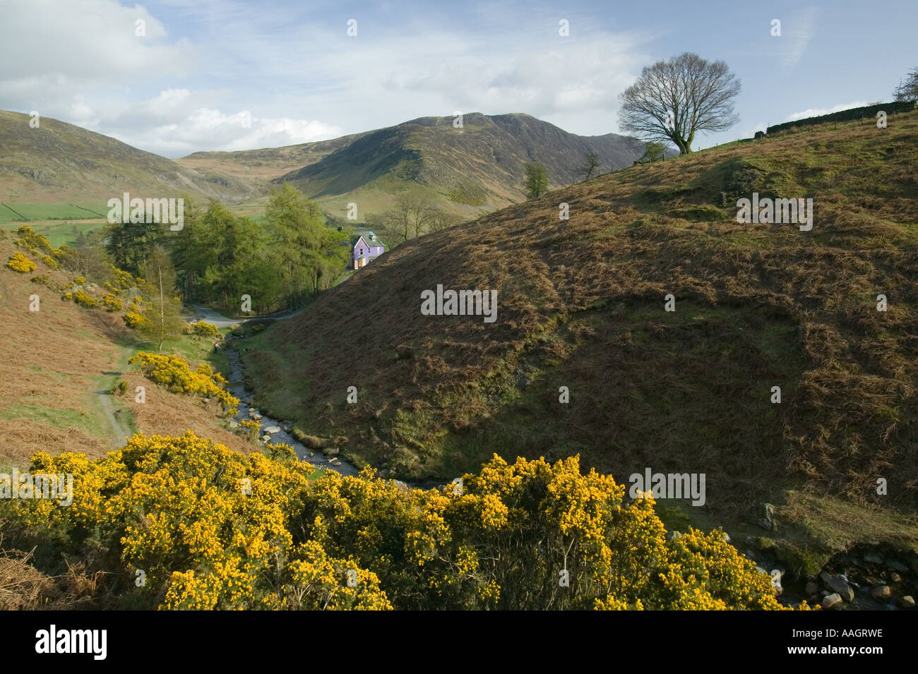 Il Newlands Valley vicino a Keswick, Lake District, REGNO UNITO Foto Stock