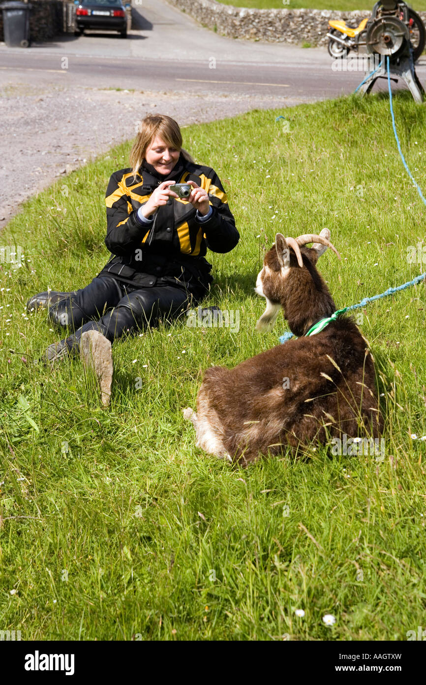 L'Irlanda Contea di Kerry Penisola di Dingle Ventry Kilvicadownig donna fotografare capra Foto Stock