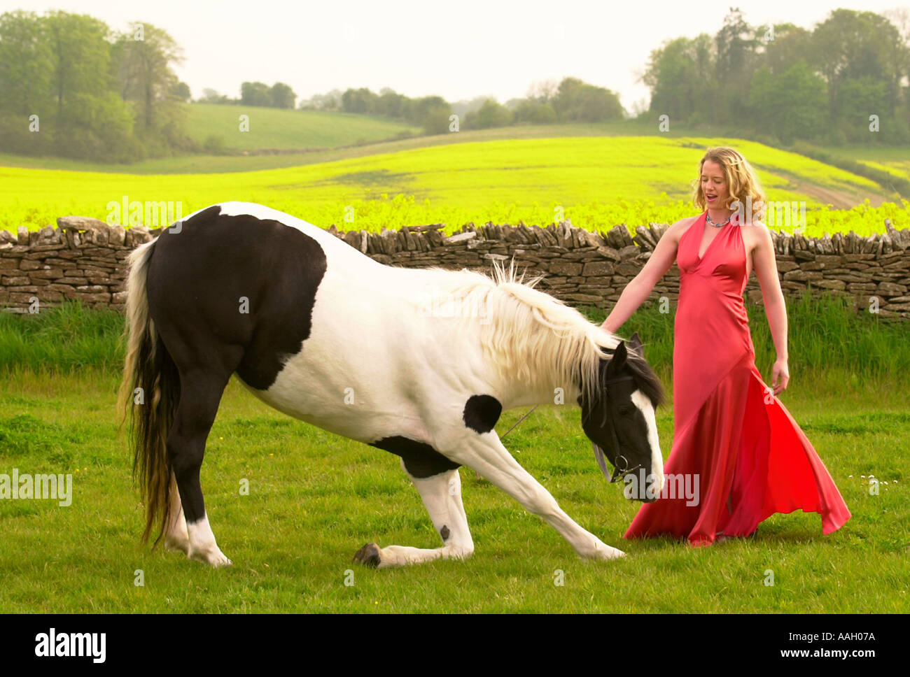 NELL GIFFORD DI GIFFORDS CIRCUS CON LA SUA ESECUZIONE DI CAVALLO ECLIPSE CHELTENHAM REGNO UNITO Foto Stock
