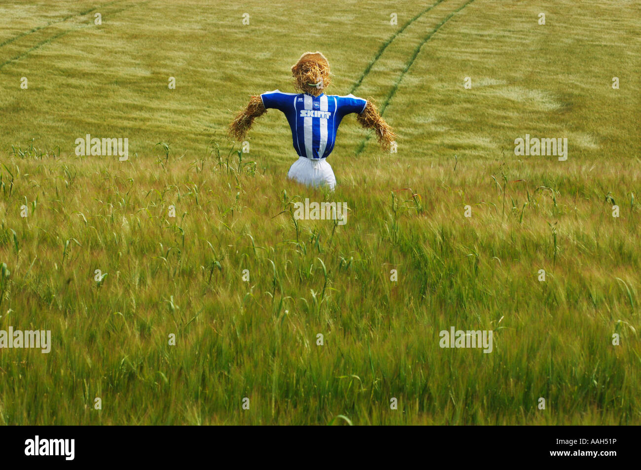 Uno spaventapasseri vestito di Brighton e Hove Albion Football Club striscia sul sito del nuovo stadio in Falmer Foto Stock