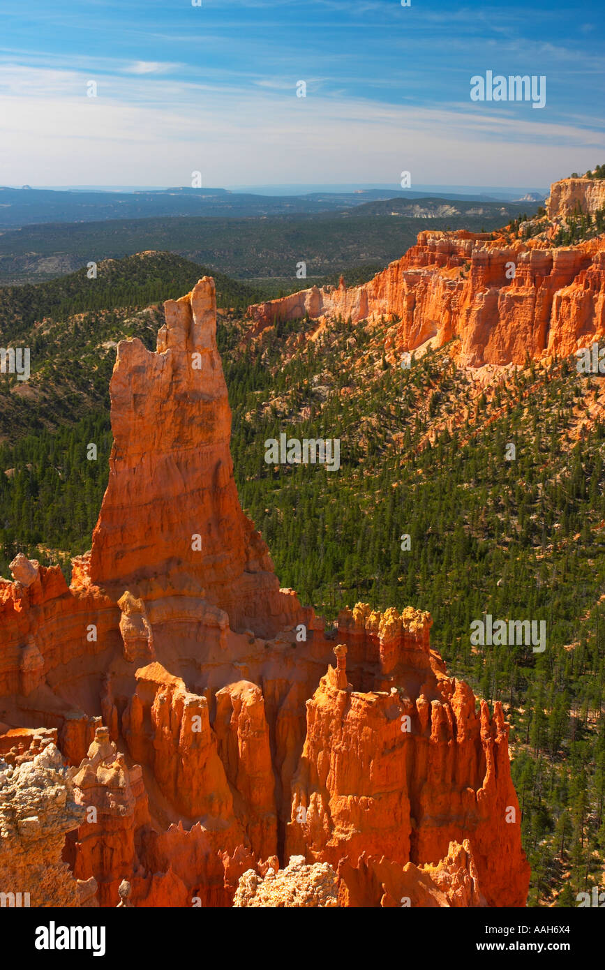 Pinnacoli di calcare e foresta all'interno di Bryce Canyon National Park nello Utah Stati Uniti d'America Foto Stock
