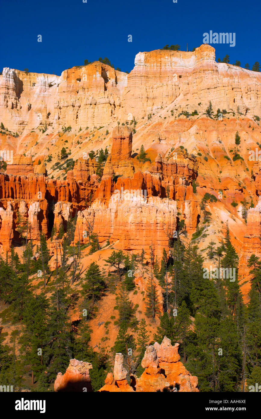 Bryce Canyon National Park nello Utah Stati Uniti d'America Foto Stock