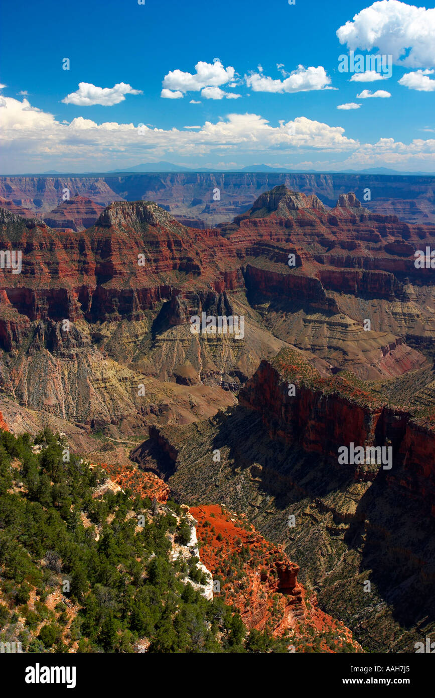 La lussureggiante North Rim del Parco Nazionale del Grand Canyon Arizona USA Foto Stock