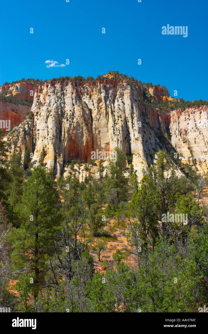 Mesa Verde National Park nello Utah Stati Uniti d'America Foto Stock