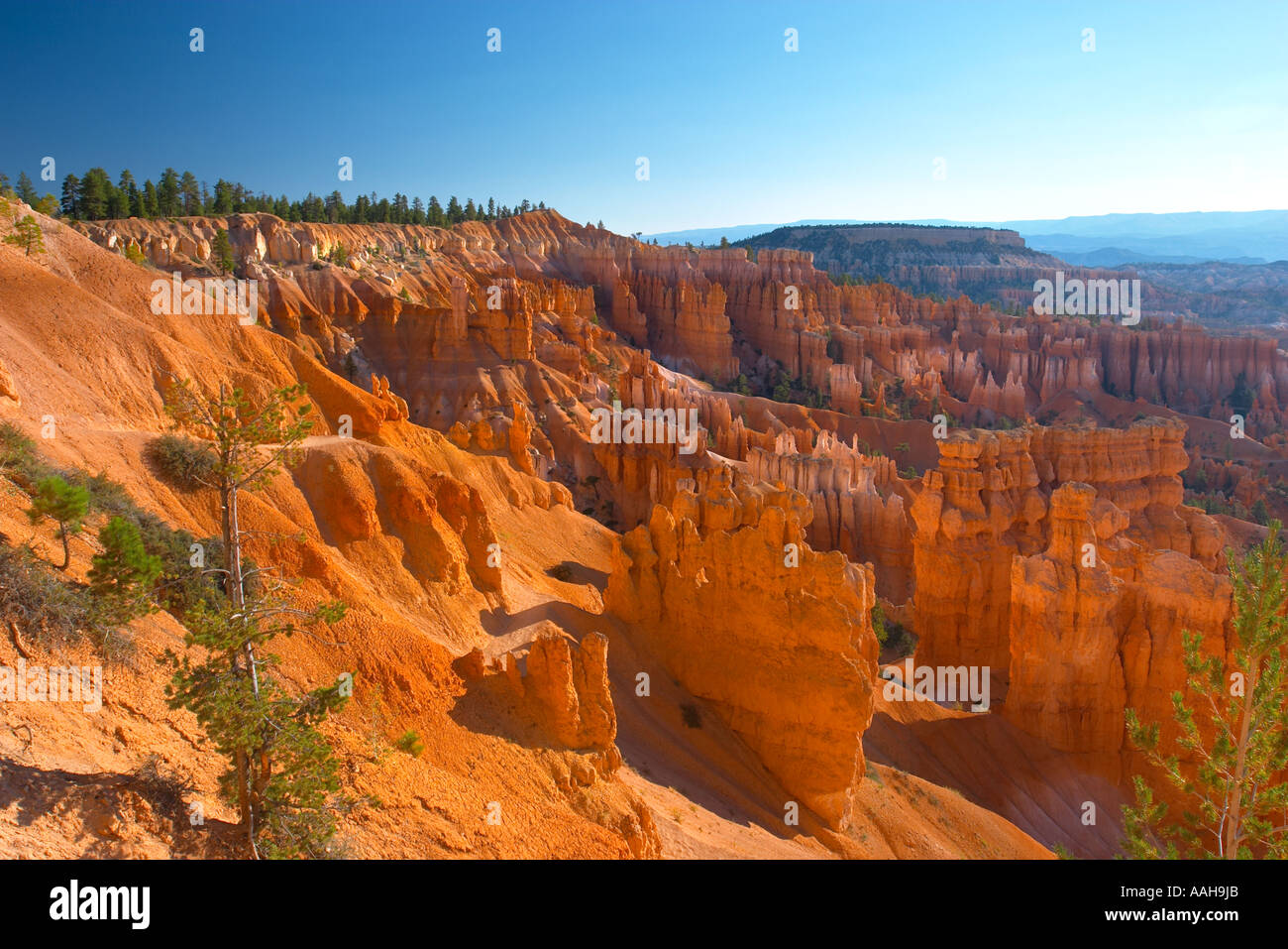 Il anphitheathre presso sunrise Bryce Canyon National Park a sunrise USA Utah Foto Stock