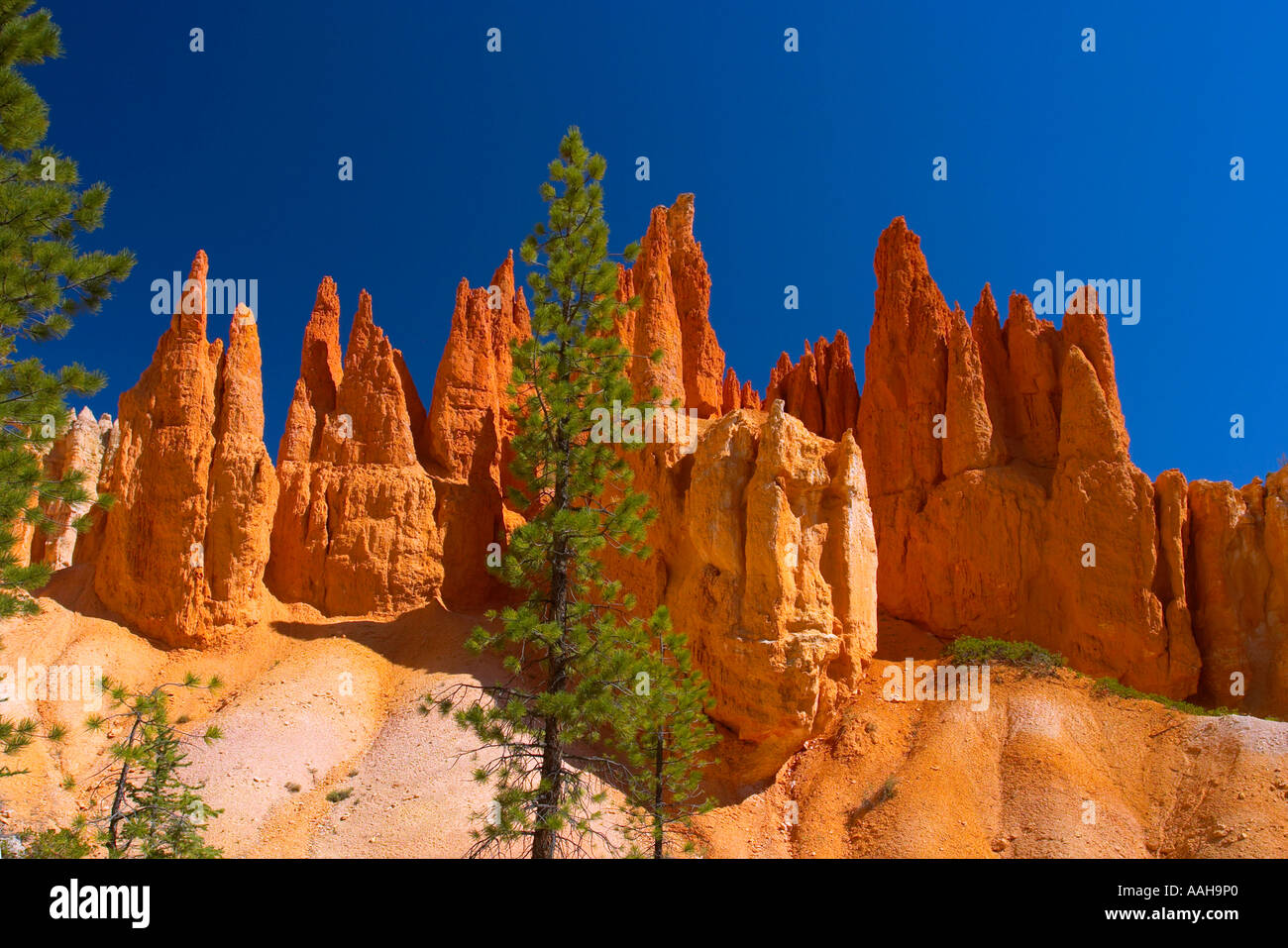 Bryce Canyon National Park nello Utah Stati Uniti d'America Foto Stock