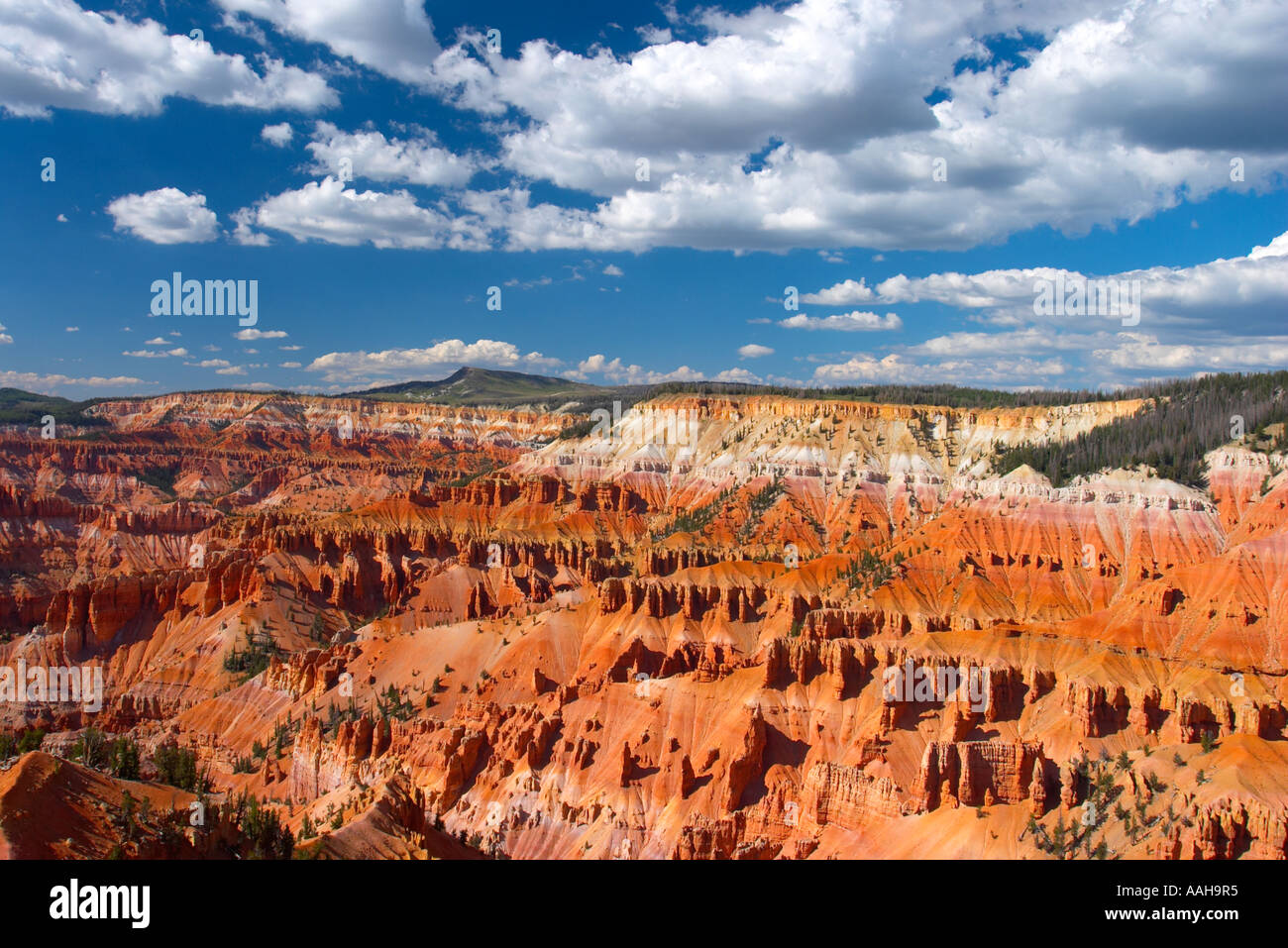 Bryce Canyon National Park nello Utah Stati Uniti d'America Foto Stock