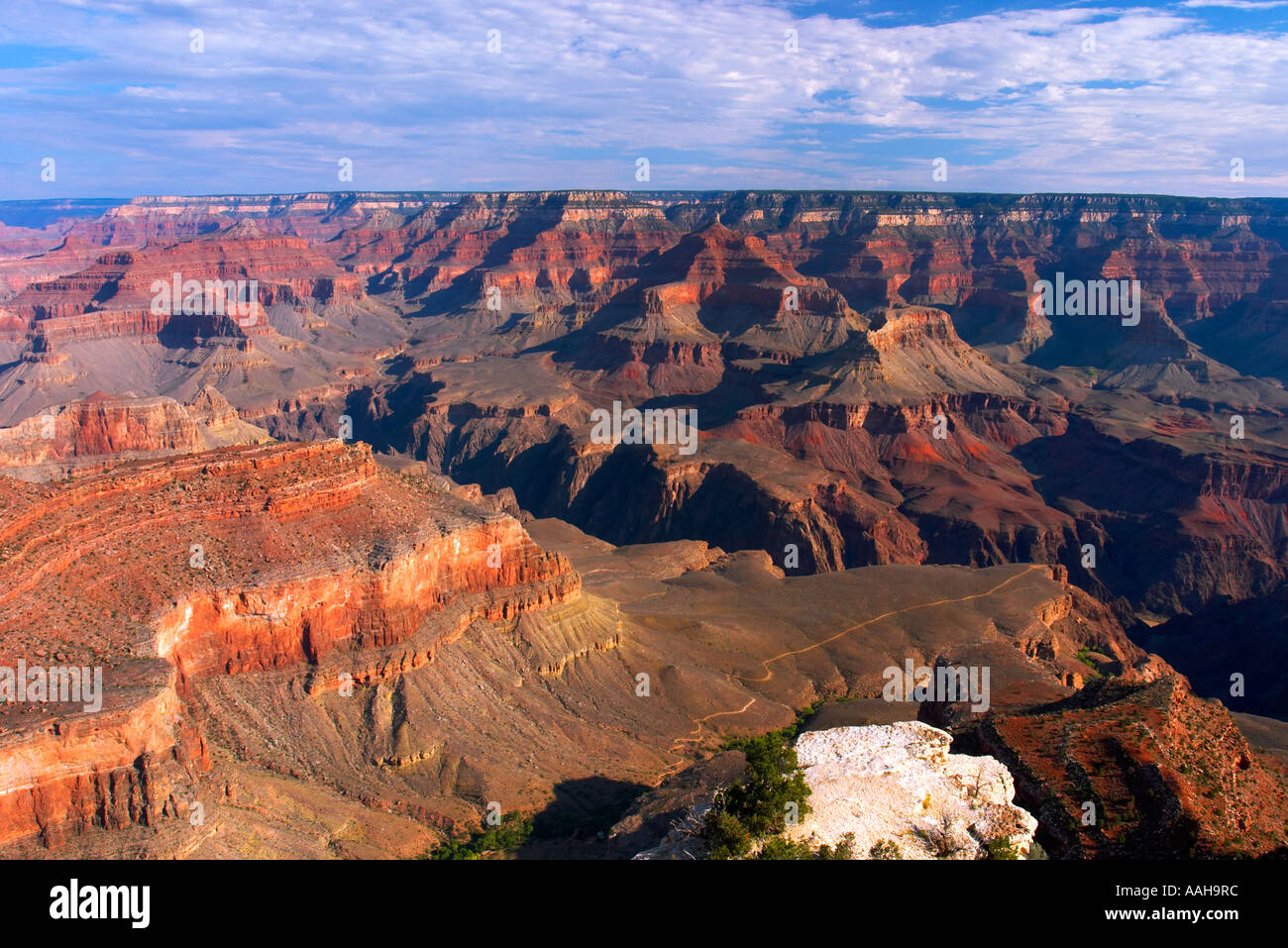 Vista del Grand Canyon dal bordo Sud del Grand Canyon NP Arizona USA Foto Stock