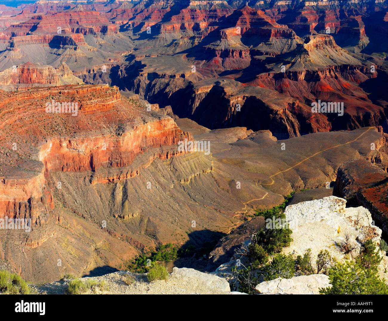 Vista del Grand Canyon dal bordo Sud del Grand Canyon NP Arizona USA Foto Stock