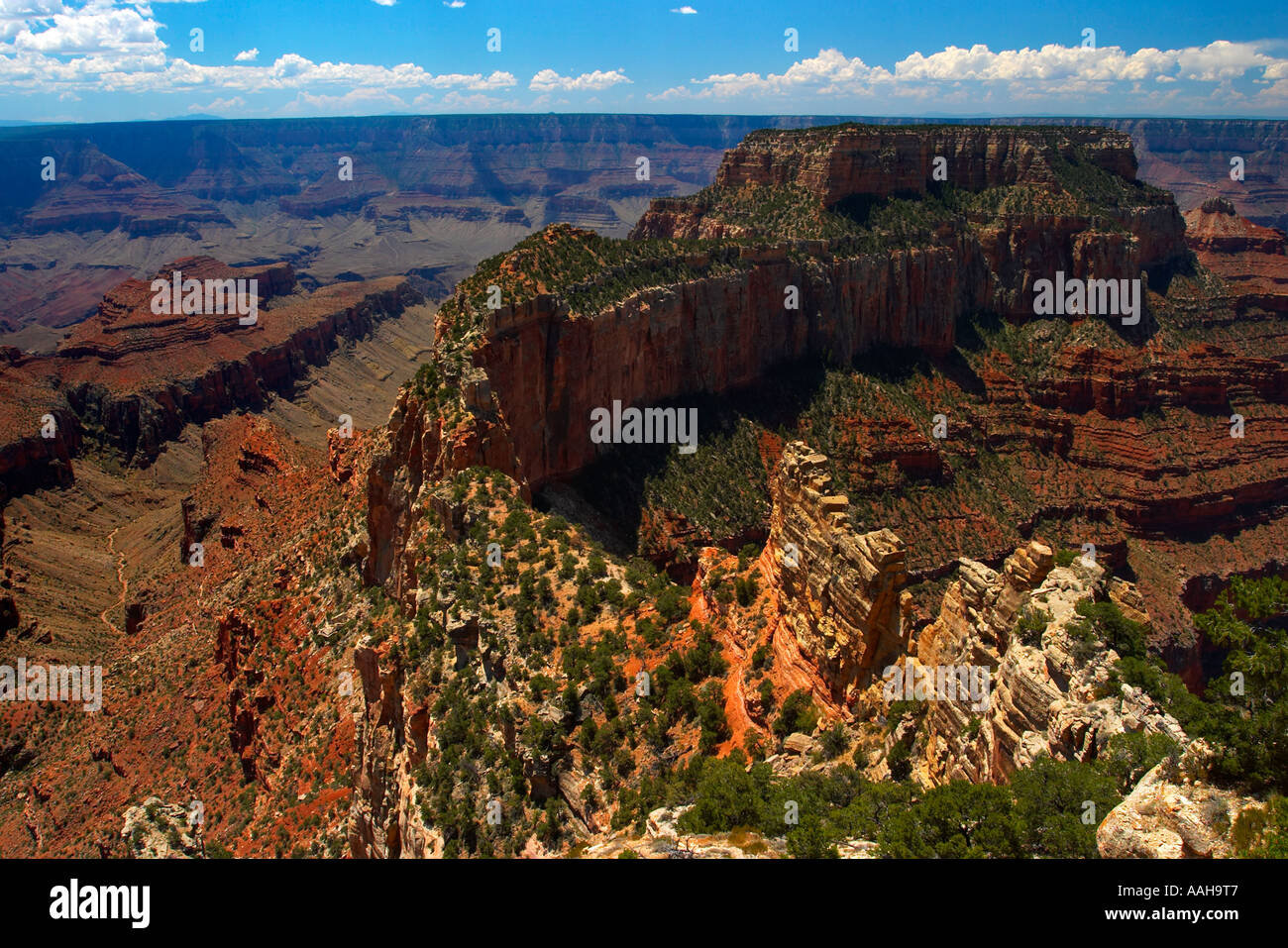 La lussureggiante North Rim del Parco Nazionale del Grand Canyon Arizona USA Foto Stock