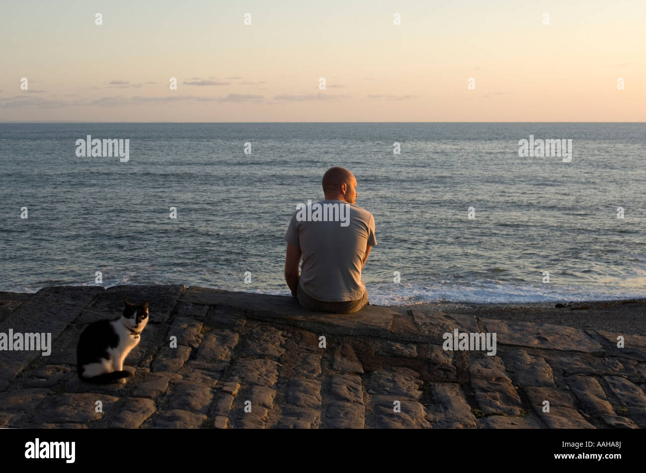 Uomo seduto da solo sul lungomare che si affaccia sul mare da una serata estiva con cat dal suo lato Aberystwyth Wales Foto Stock