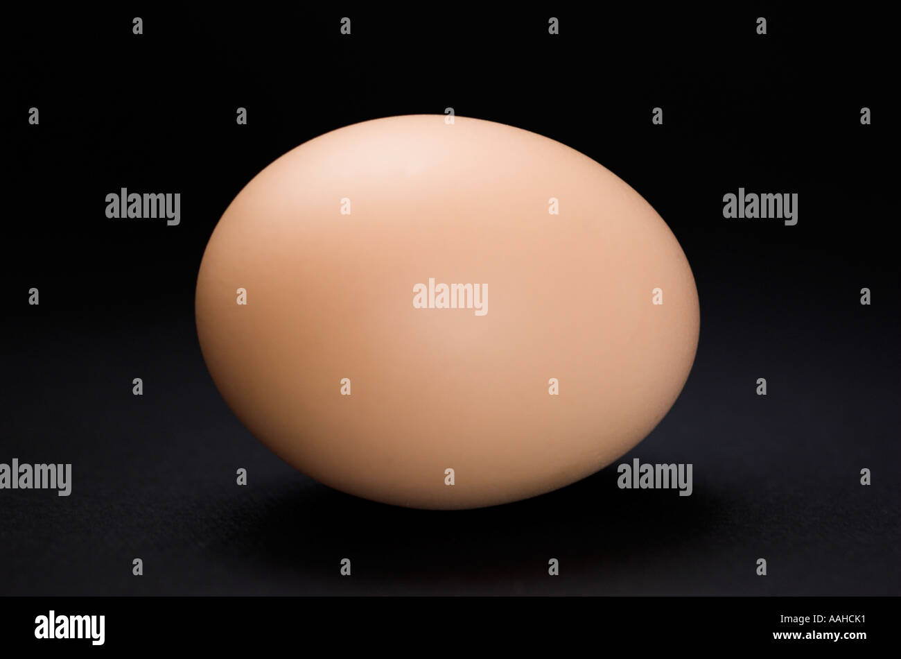 Un singolo uovo su sfondo nero Foto Stock