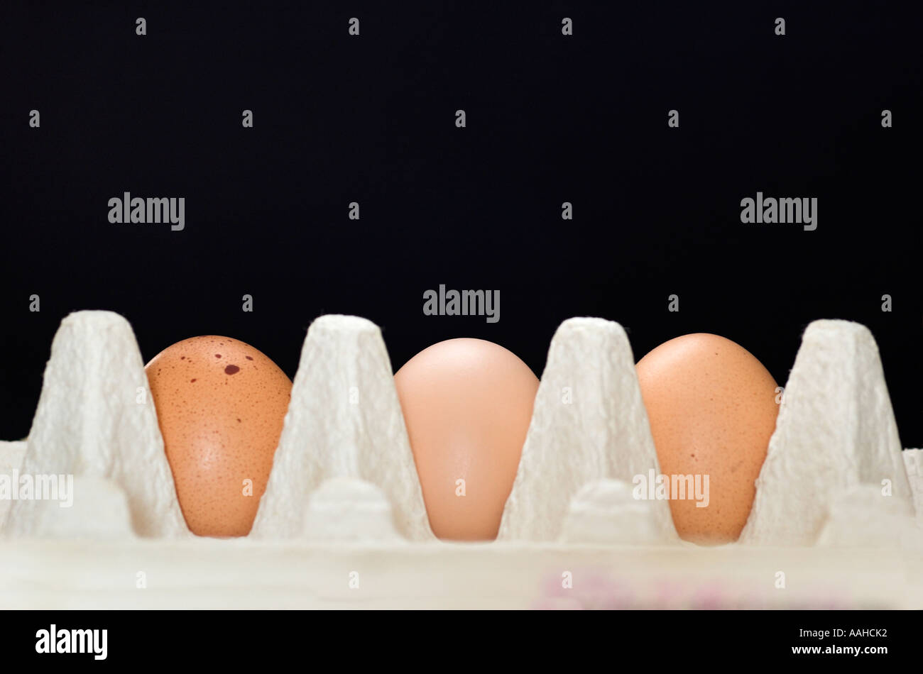 Close up di uova in una scatola di cartone Foto Stock