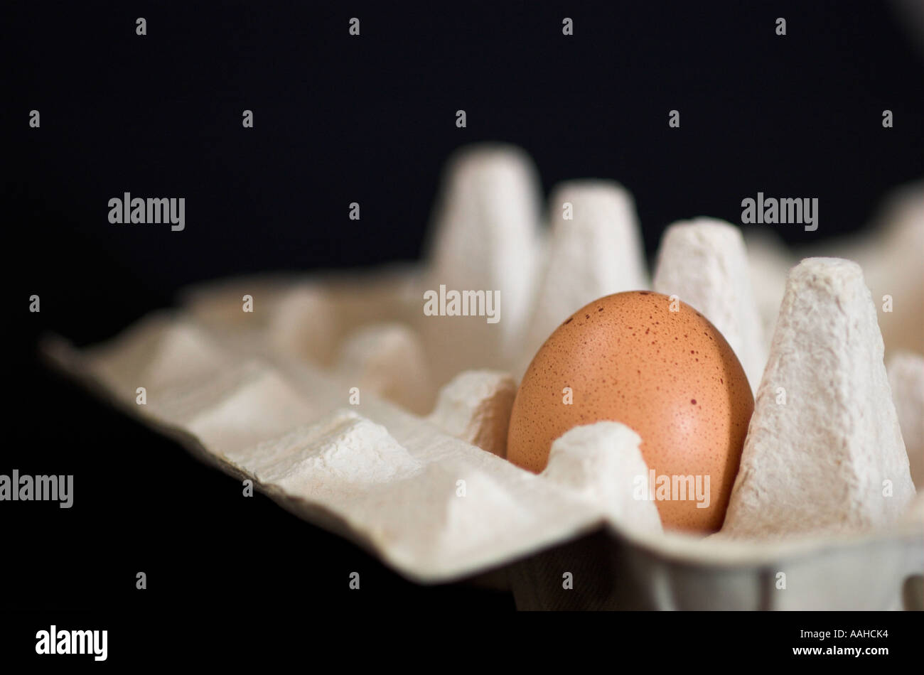 Un uovo in cartone close up Foto Stock