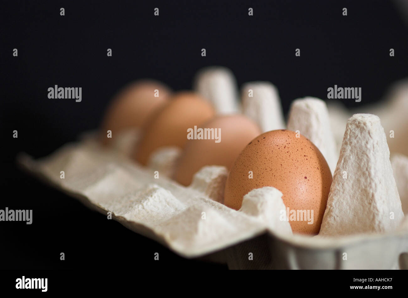 Close up di uova in una scatola di cartone Foto Stock