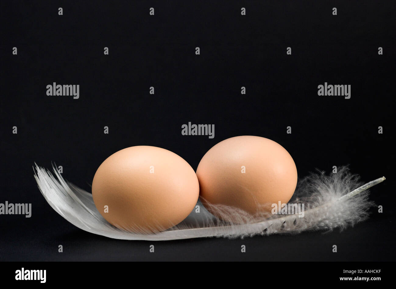 Due uova di gallina su bianco giù Foto Stock