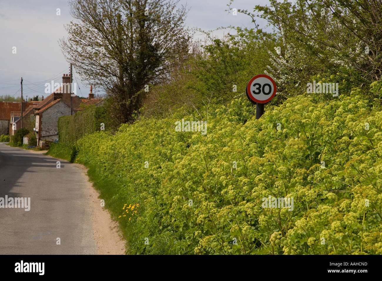 Vicolo del paese NORFOLK REGNO UNITO può Foto Stock