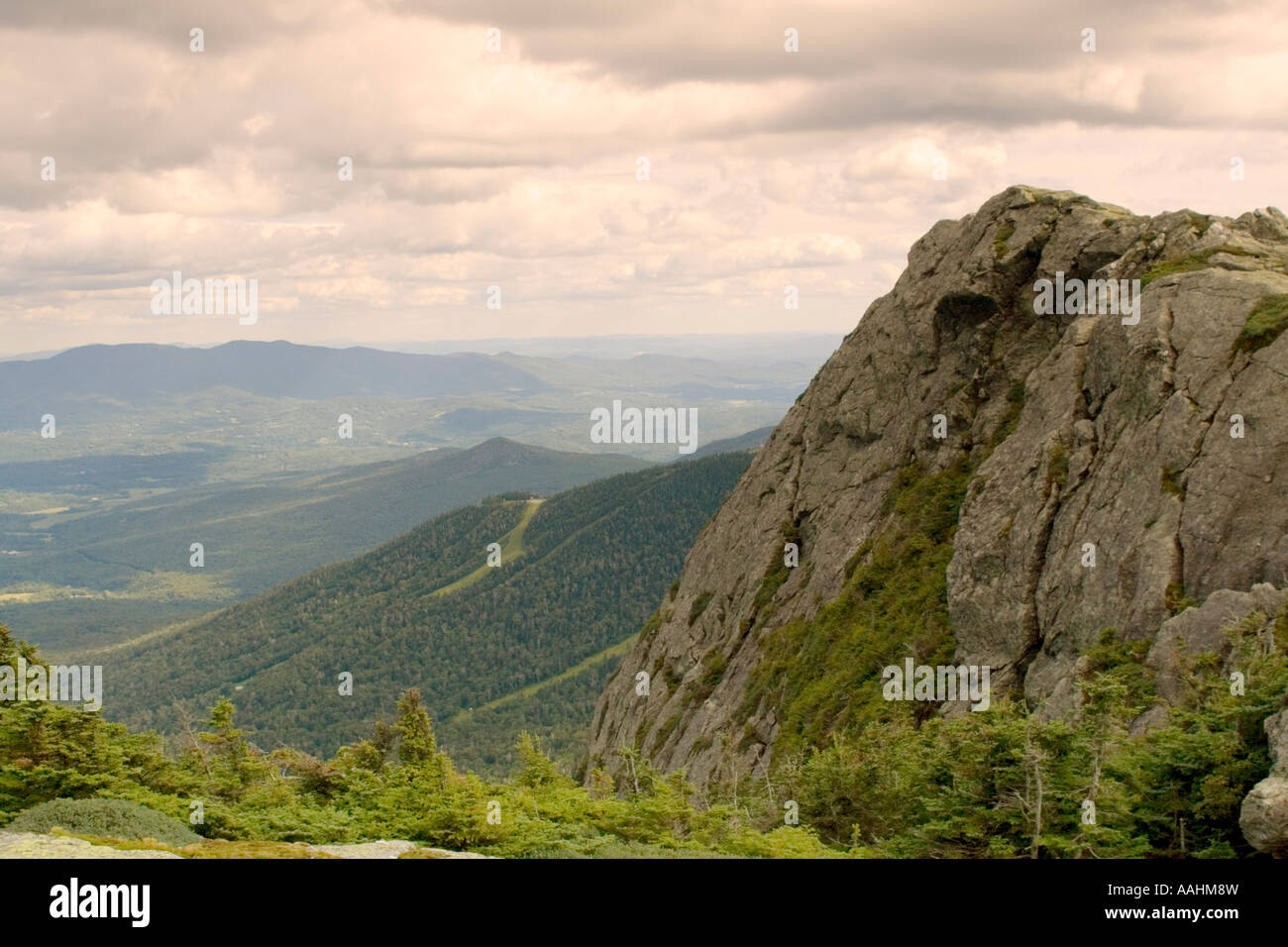 Verde delle montagne del Vermont da Mount Mansfield Foto Stock